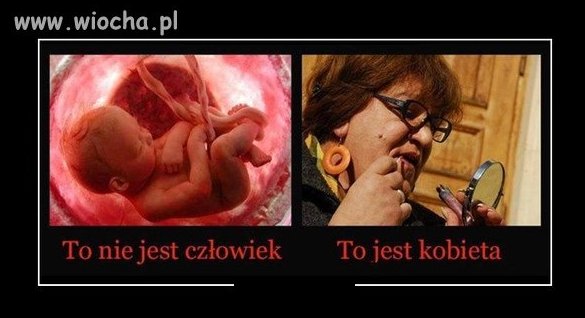 A Donek jest człowiekiem?