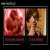 A Donek jest człowiekiem?