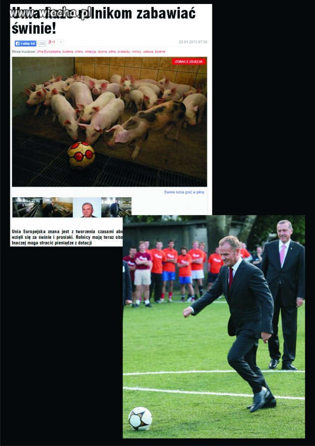 Dlaczego  właśnie piłki?