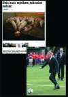 Dlaczego  właśnie piłki?