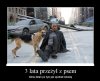 Ach te kobiety...