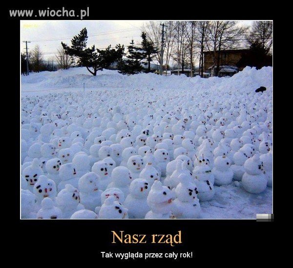Cała pawda