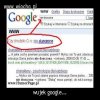 Wujek google...