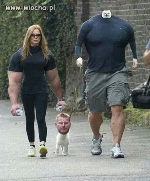 Dobry fotomontaż