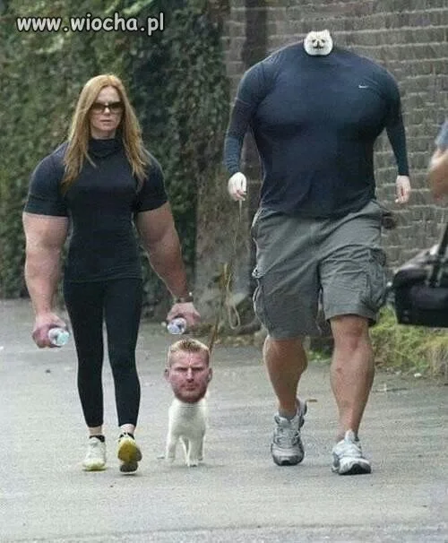 Dobry fotomontaż