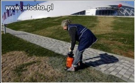 Sochi 2014