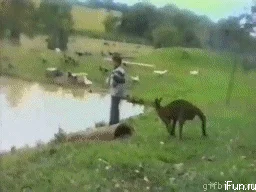 Trolololo