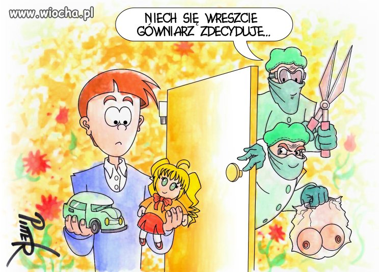 Gender w pigułce