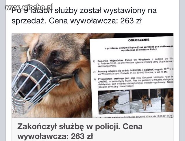 Psia służba