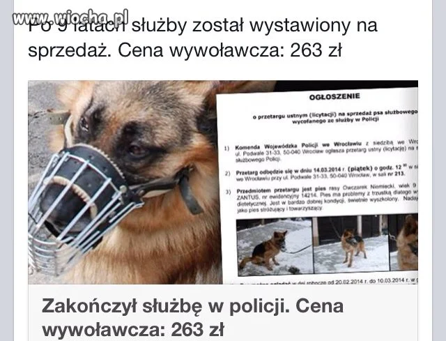 Psia służba