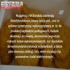 Unijne przepisy: Tu jest ok