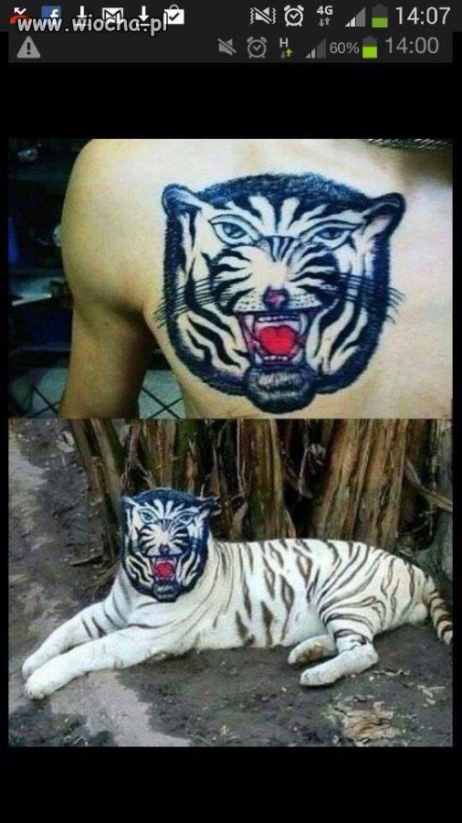 Realizm 