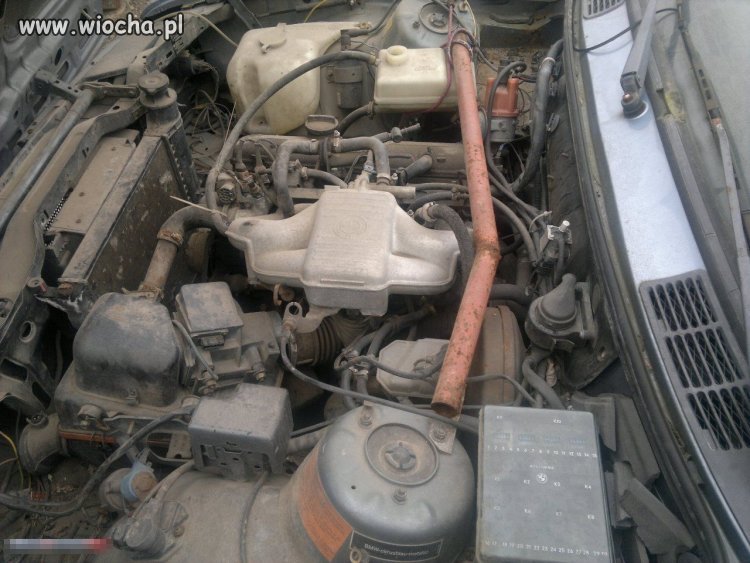 Mistrzowska rozpórka w BMW e30 