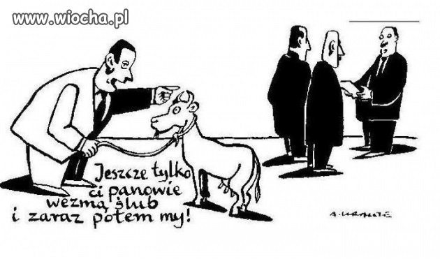 Już wkrótce w USC 