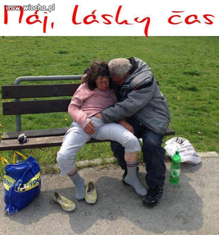 Mały przeglądzik na ławce .