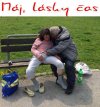 Mały przeglądzik na ławce .