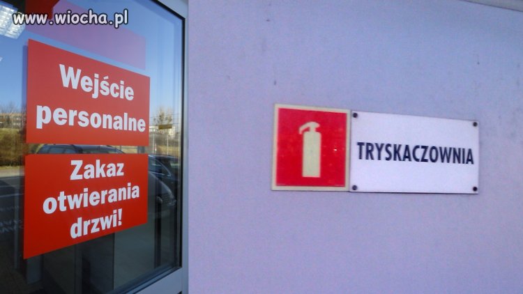 Wejscie nie dla idiotów w opolu