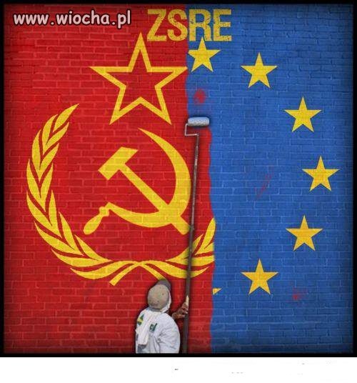 Trudny wybór ...