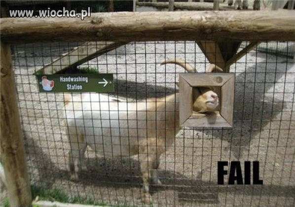 A co tu więcej pisać