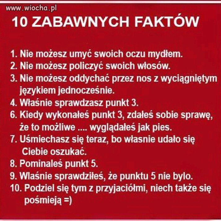 10 zabawnych faktów