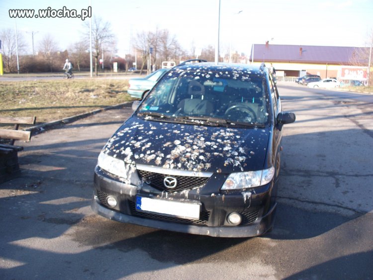 Przesrane, to mało powiedziane