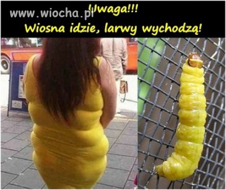 Uwaga! Wiosna idzie