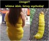 Uwaga! Wiosna idzie