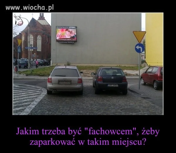 Mistrzowie parkowania