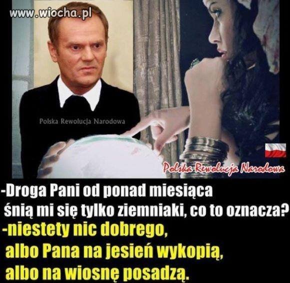 Wróżka 