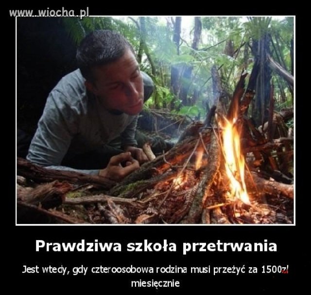 Szkoła przetrwania ... 