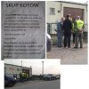 Skup Kotów