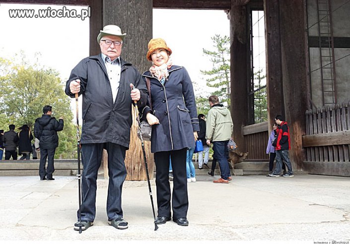 W sandałach i skarpetkach podbija Japonię
