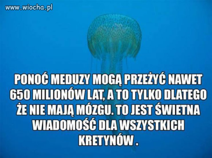 Pozytywna wiadomość 