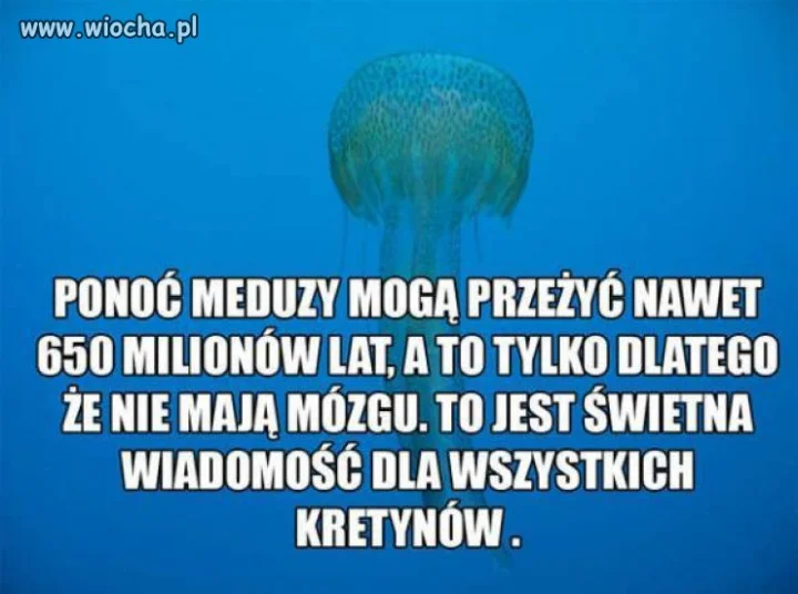 Pozytywna wiadomość 