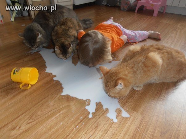 I się nic nie zmarnuje