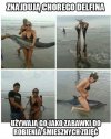 Znajdują Chorego delfina.