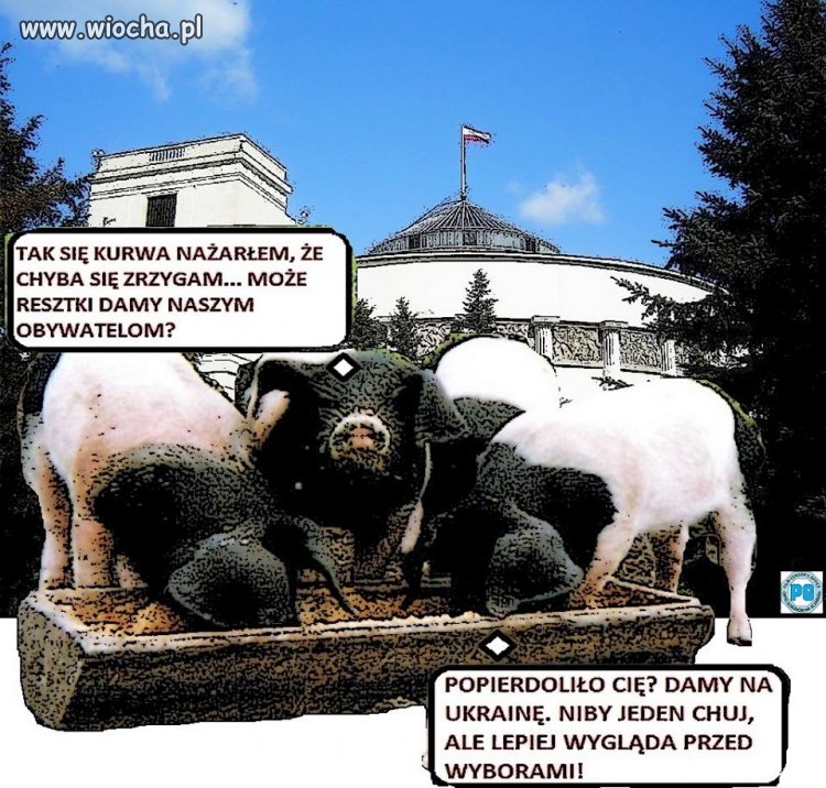 Przy korycie tętni życie 