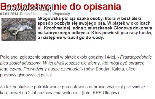 Powiesił psa i wrzucił do rzeki