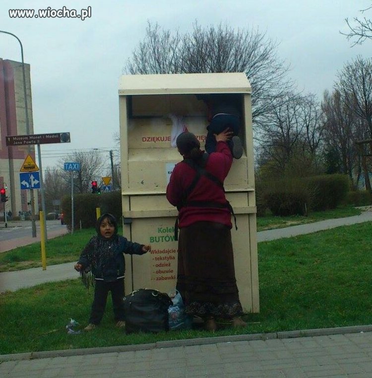 Cyganie w akcji.