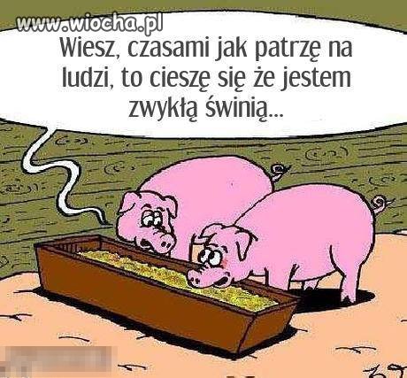 My tutaj jesteśmy ludźmi tak?