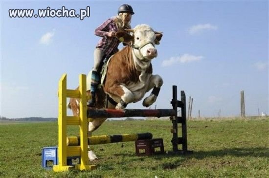 Takie tam... 