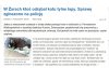 Jakim trzeba być bydlakiem...