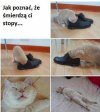 Kup sobie kotka to się dowiesz 