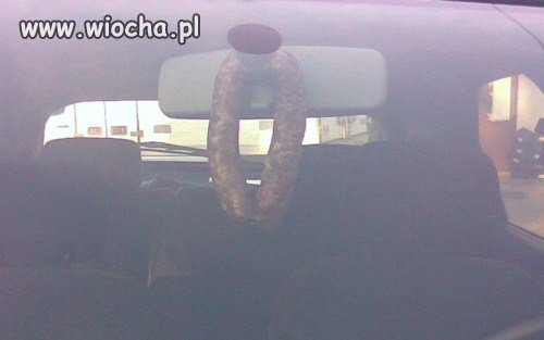 Nowy typ choinki zapachowej
