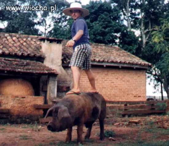 Torro...