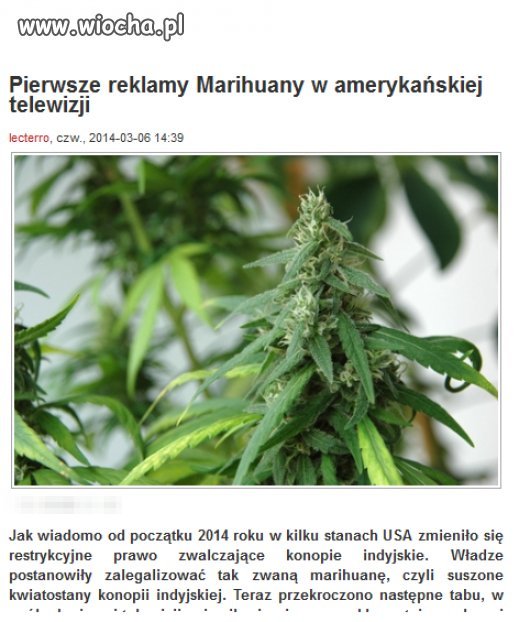 Nie tylko na ropie można zarobić