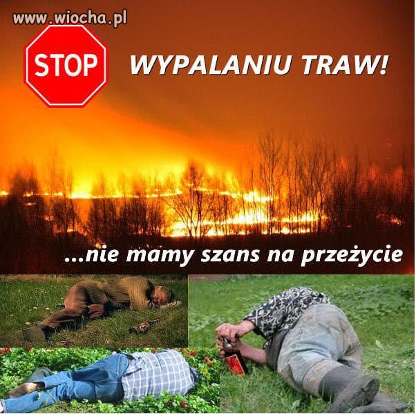 ślimaki bez domu