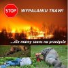 ślimaki bez domu