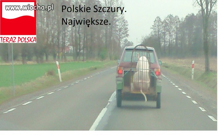 Polska