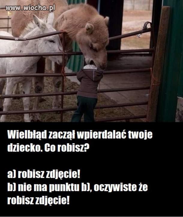 Co byś zrobił 
